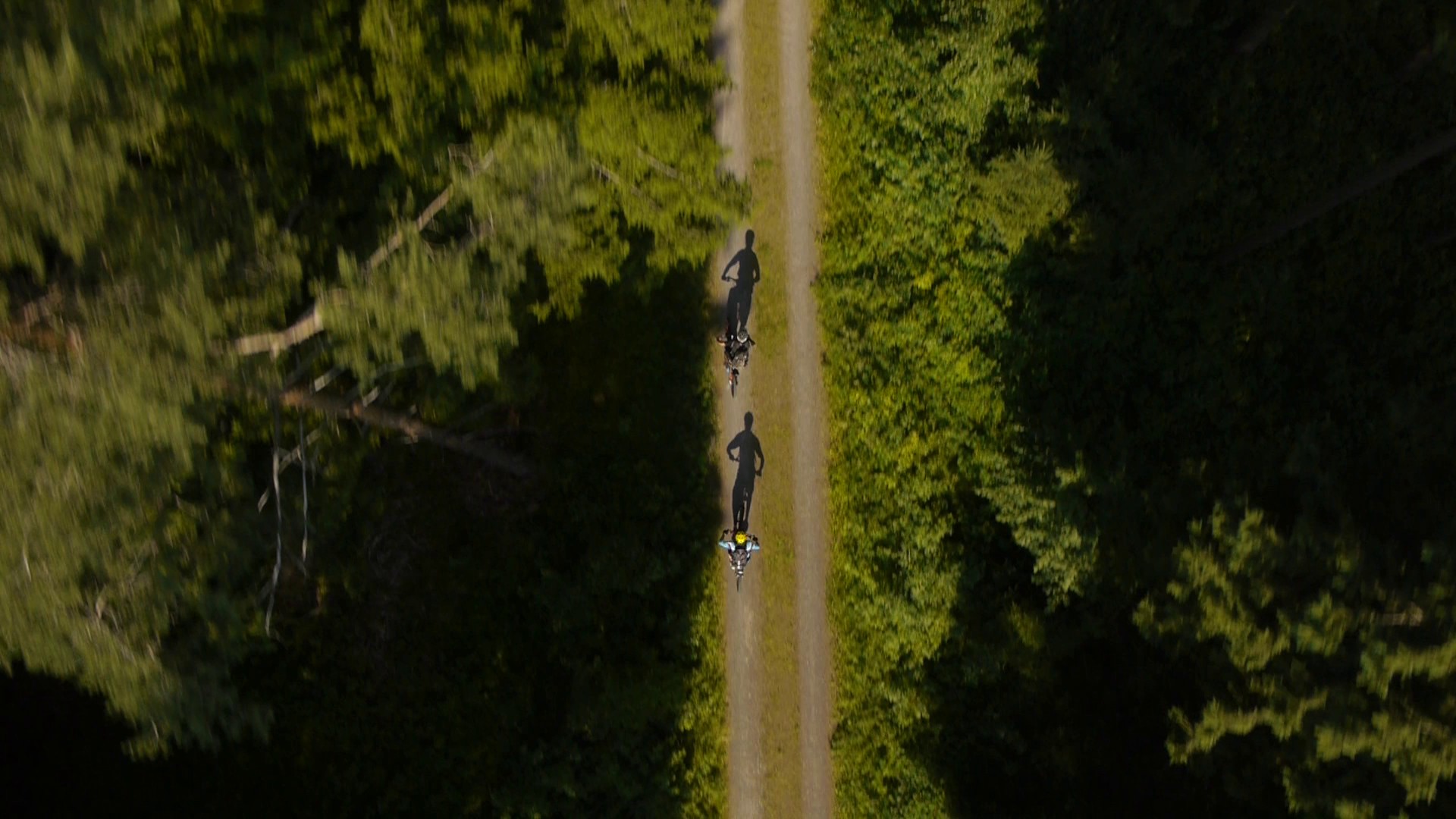 MTB Thüringer Wald